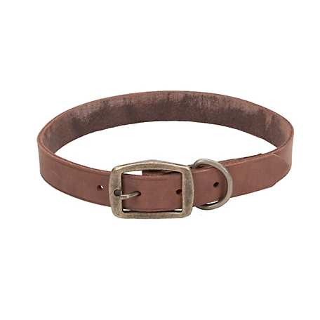 Retriever Rustic Leather Town Dog Collar
