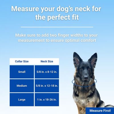 Image showing  Adjustable Patterned Dog Collar