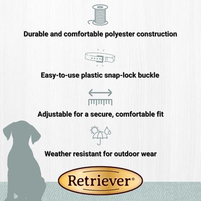 Image showing  Adjustable Patterned Dog Collar