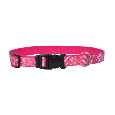 Retriever Adjustable Ribbon Overlay Dog Collar