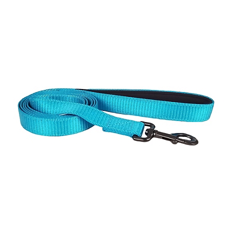 Retriever Reflective Nylon Snap Closure Dog Leash with Neoprene Lined Handle, 6 ft., Blue