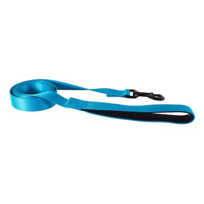 Image showing  Reflective Nylon Snap Closure Dog Leash with Neoprene-Lined Handle, 6 ft., Blue