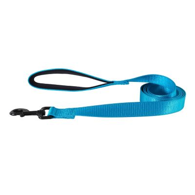Image showing  Reflective Nylon Snap Closure Dog Leash with Neoprene-Lined Handle, 6 ft., Blue