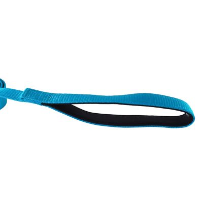 Image showing  Reflective Nylon Snap Closure Dog Leash with Neoprene-Lined Handle, 6 ft., Blue
