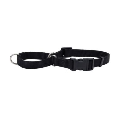 prong collar tractor supply