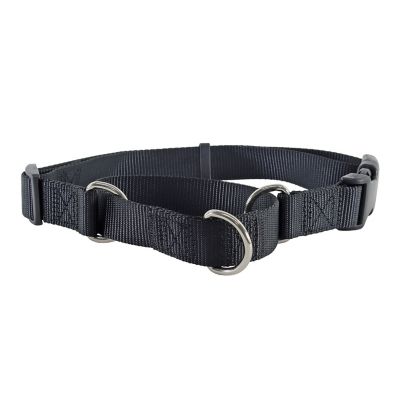 Image showing  Adjustable Martingale Dog Collar with Buckle