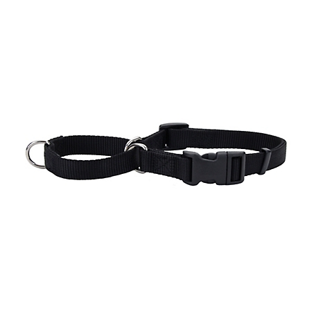 Retriever Adjustable Martingale Dog Collar with Buckle