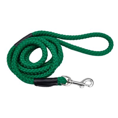 nylon rope leash