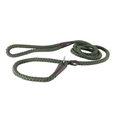 Retriever Adjustable Rope Slip Dog Leash