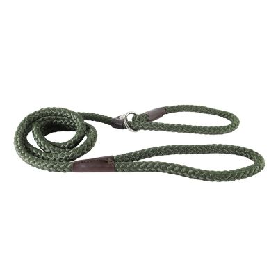 Image showing  Adjustable Rope Slip Dog Leash