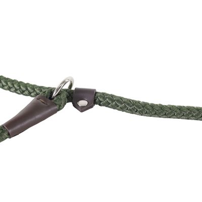 Image showing  Adjustable Rope Slip Dog Leash
