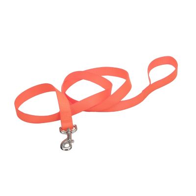 Retriever Nylon Dog Leash, 1 in. x 6 in., Safety Orange