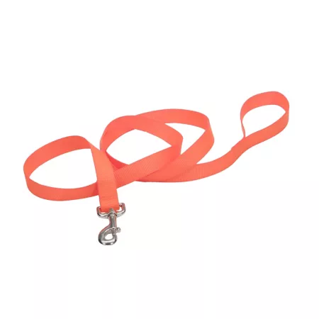 Nylon Retriever Dog Leash 1 in x 6 in Safety Orange Dog Basic Leashes