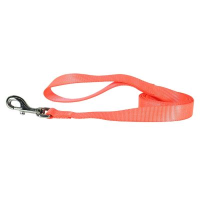 Image showing  Nylon Dog Leash, 6 in., Safety Orange