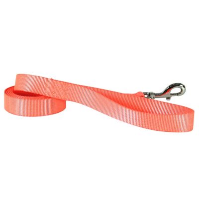 Image showing  Nylon Dog Leash, 6 in., Safety Orange