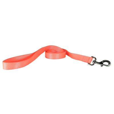 Image showing  Nylon Dog Leash, 6 in., Safety Orange