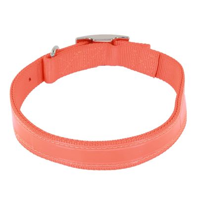 Image showing  Double-Ply Reflective Dog Collar, Orange