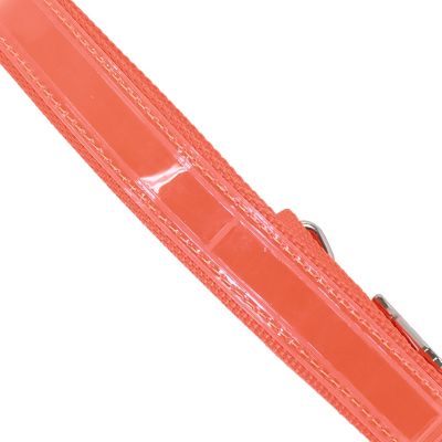 Image showing  Double-Ply Reflective Dog Collar, Orange