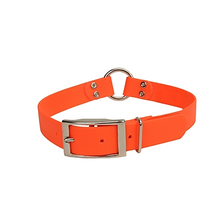 Retriever Waterproof Hound Dog Collar with Center Ring, Safety Orange