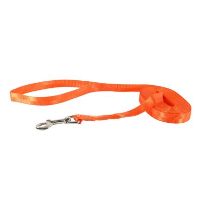Image showing  Nylon Dog Check Cord, 25 ft., Safety Orange