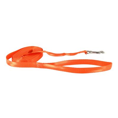 Image showing  Nylon Dog Check Cord, 25 ft., Safety Orange