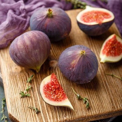 Image showing  2.25 gal. Potted Celeste Fig Plant