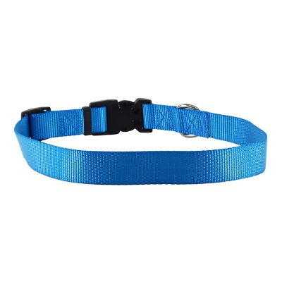 Image showing  Solid Color Adjustable Dog Collar with Plastic Buckle