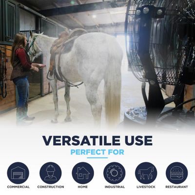 Image showing  18 in. 3-Speed Misting Fan with 40 gal. Tank