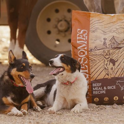 Image showing  Adult Beef Meal and Rice Recipe Dry Dog Food, 40 lb. Bag