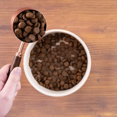 Image showing  Adult Beef Meal and Rice Recipe Dry Dog Food, 40 lb. Bag