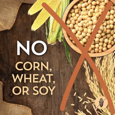 Image showing 6 th Wholesomes Adult Beef Meal and Rice Recipe Dry Dog Food, 40 lb. Bag