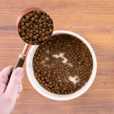 Image showing  All Life Stages Indoor/Outdoor Performance Chicken Formula Dry Cat Food, 15 lb. Bag