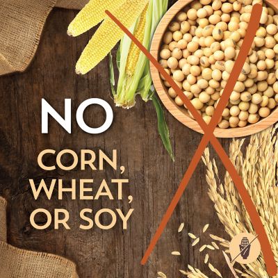 Image showing 6 th Wholesomes All Life Stages Indoor/Outdoor Performance Chicken Formula Dry Cat Food, 15 lb. Bag