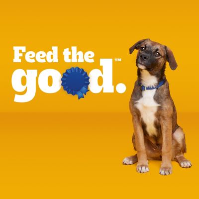 Image showing 7 th Pedigree Puppy Choice Cuts Chicken and Beef in Gravy Recipe Wet Dog Food, 3.5 oz., Pack of 8 Cans