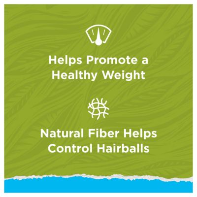 Image showing  Naturals Adult Indoor Hairball and Healthy Weight Chicken Recipe Dry Cat Food