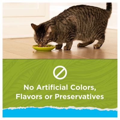 Image showing  Naturals Adult Indoor Hairball and Healthy Weight Chicken Recipe Dry Cat Food