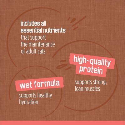 Image showing 8 th Purina Friskies Adult Extra Gravy Chunky Wet Cat Food Variety pk., 5.5 oz., Pack of 24 Cans