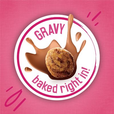 Image showing  Gravy Swirlers Chicken & Salmon Flavor Dry Cat Food