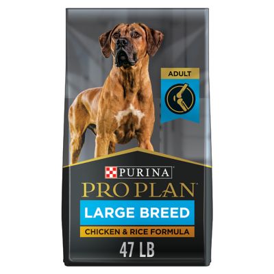 Purina Pro Plan Large Breed Adult High-Protein Digestive Health Chicken and Rice Formula Dry Dog Food