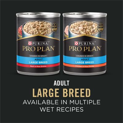 Image showing 6 th Purina Pro Plan Large Breed Adult High-Protein Chicken and Rice Formula Dry Dog Food