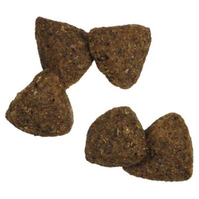 Image showing  Adult Sensitive Skin and Stomach Salmon and Rice Formula Dry Dog Food