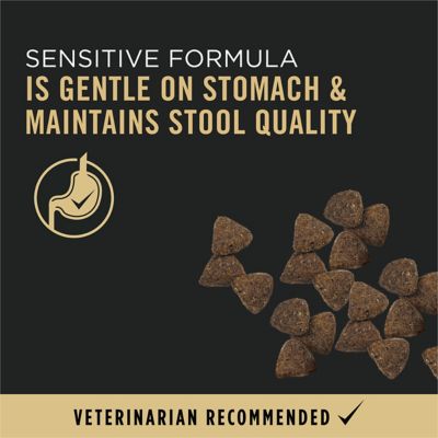 Image showing  Adult Sensitive Skin and Stomach Salmon and Rice Formula Dry Dog Food