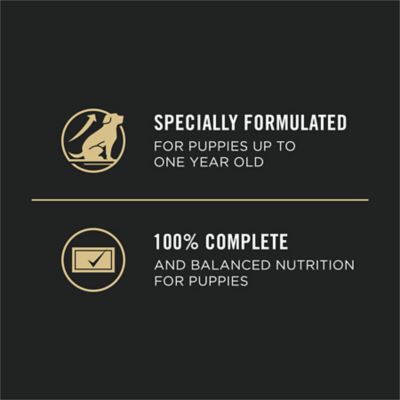 Image showing  Grain Free Wet Puppy Food, Classic Chicken Entree