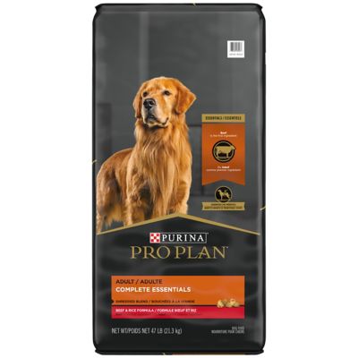 Purina Pro Plan Savor Adult Beef and Rice Shredded Blend Recipe Dry Dog Food Smells Like Any Other Dog Food