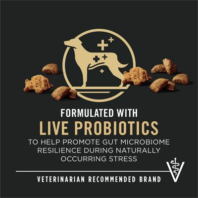 Image showing  Complete Essentials Adult Shredded Blend Beef and Rice Formula Dry Dog Food