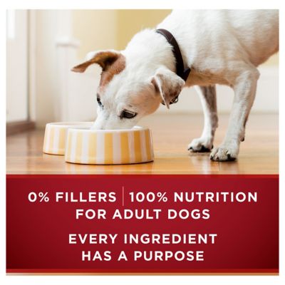 Image showing  True Instinct Tender Cuts in Gravy Real Turkey/Venison & Chicken/Duck Variety Pack Wet Dog Food, 13 oz., 12 ct.