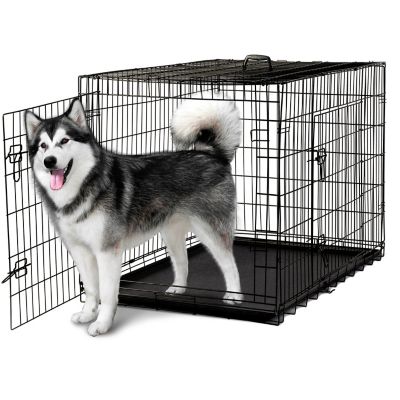 paws & pals metal dog crate double door
