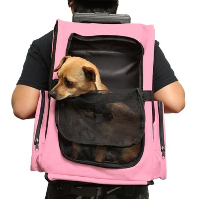 paws dog backpack