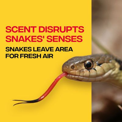 Image showing  10 lb. Snake-A-Way Granular Snake Repellent