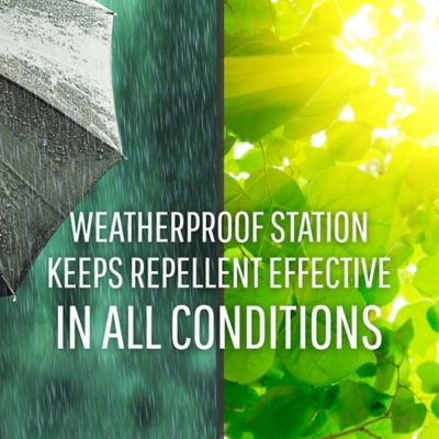 Image showing  DeerOff Waterproof Deer Repellant, 6-Pack